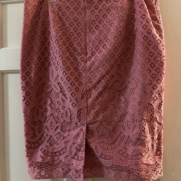 NWT LOFT Soft Pink Lace Skirt with Lining - Picture 2 of 3